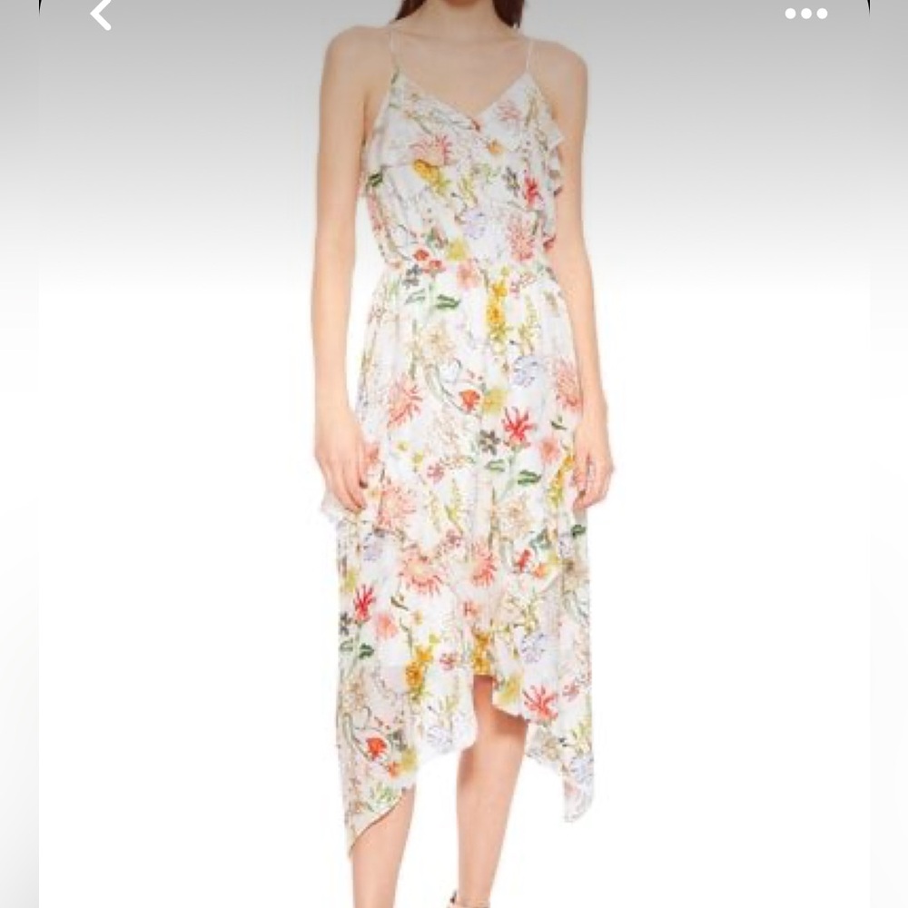Parker Floral Vanna Dress